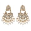 diva delight Traditional Ethnic Long Earrings